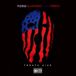 Pledge Allegiance To The Streets 29